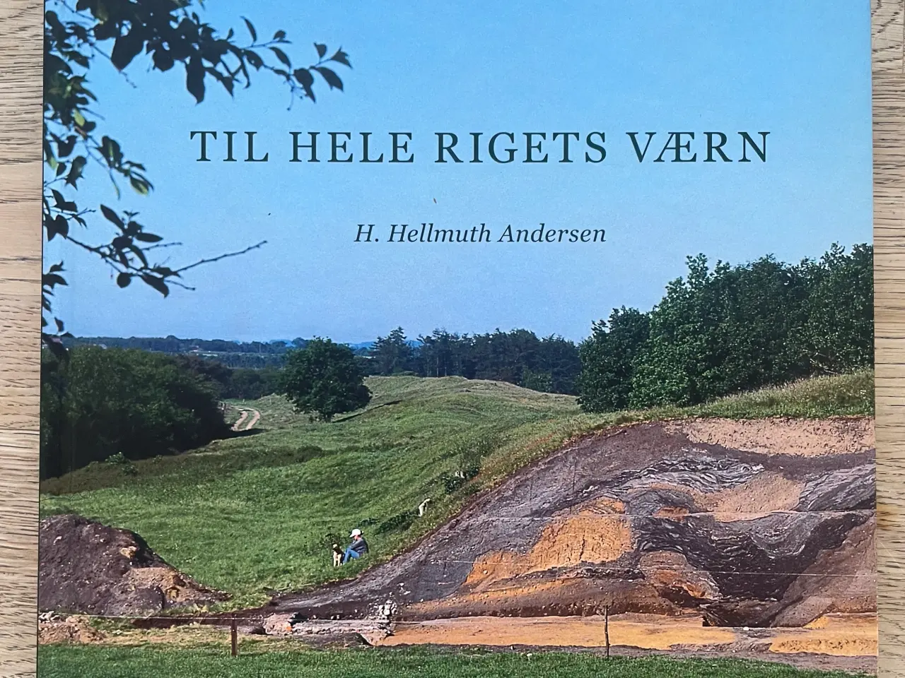 Billede 1 - Til hele rigets værn, H. Hellmuth Andersen