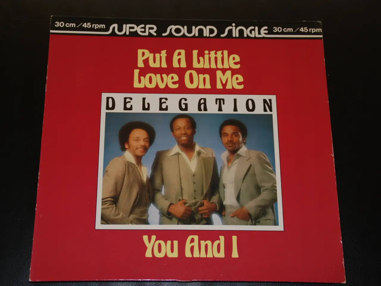Billede 1 - LP - Delegation