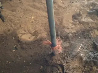 4 furet vendeplov