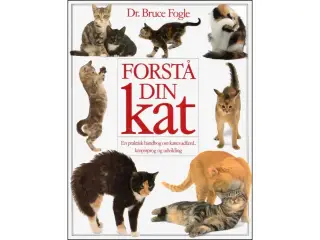 Forstå din Kat