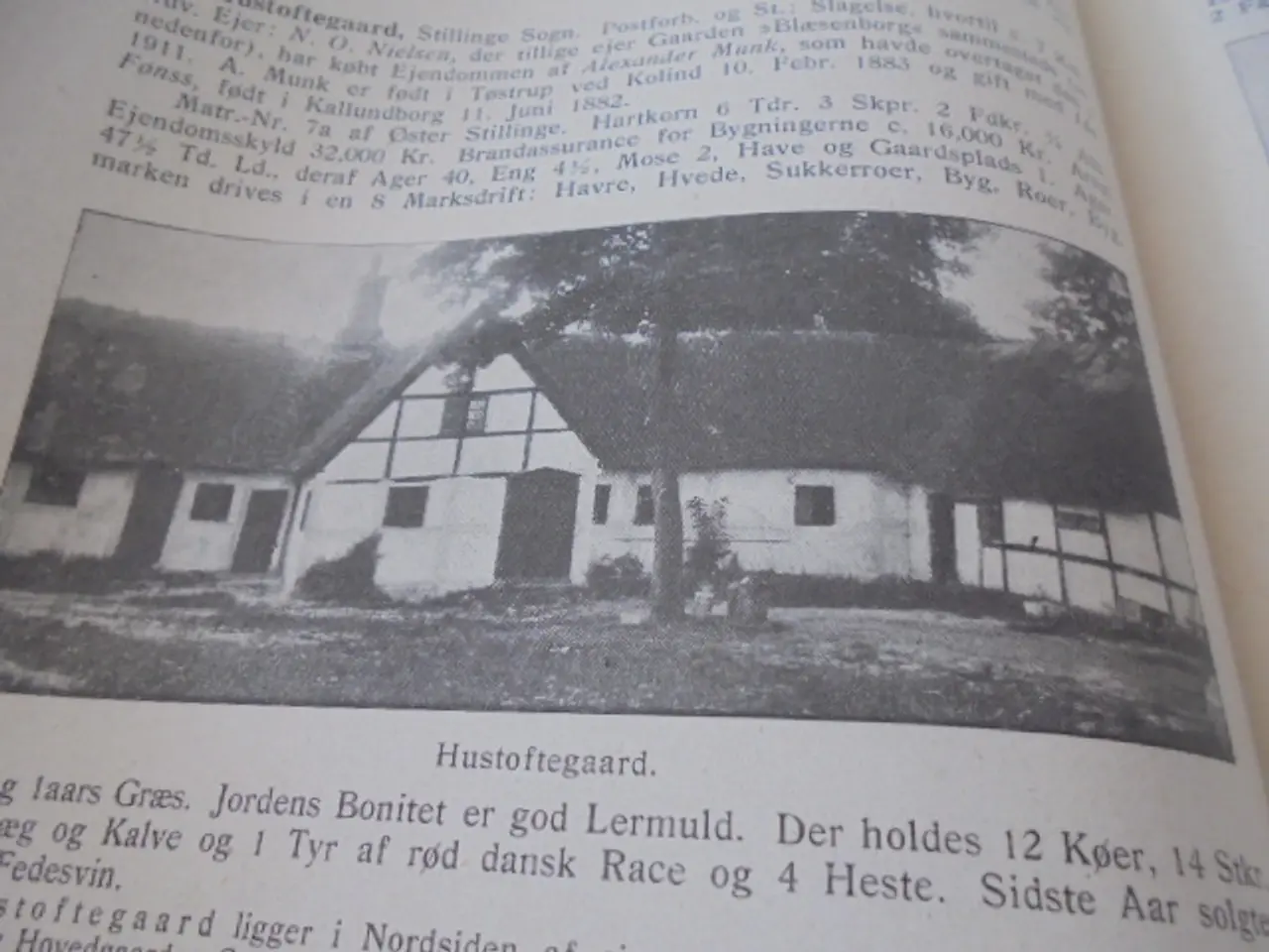 Billede 8 - Gamle Gaarde – III Samling – stort værk fra 1915