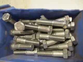 Rustfaste bolte M20