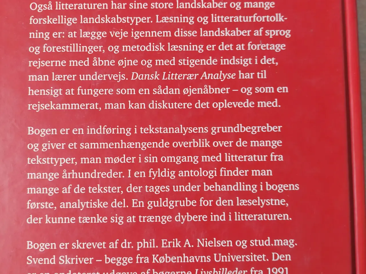 Billede 3 - Dansk Litterær Analyse