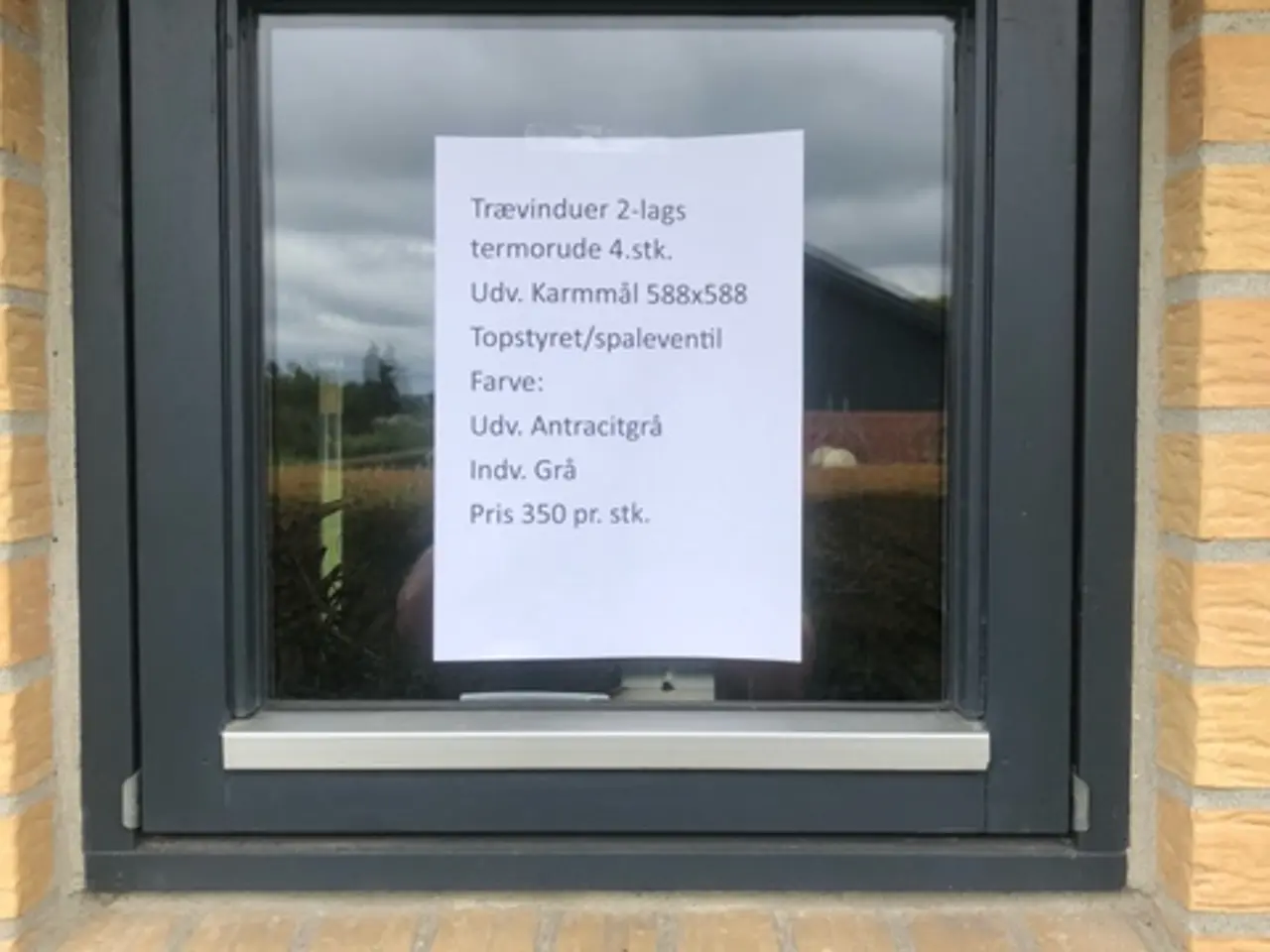 Billede 1 - Trævinduer  2-lags termorude 
