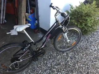 En fin drenge/pige MTb