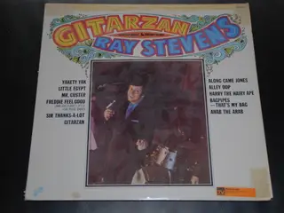 Vinylplade - Ray Stevens