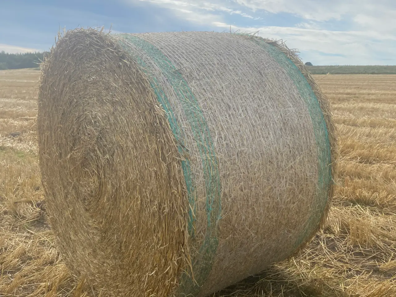 Billede 5 - New Holland 658