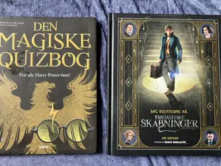 Bøger om magi – se pris på hver
