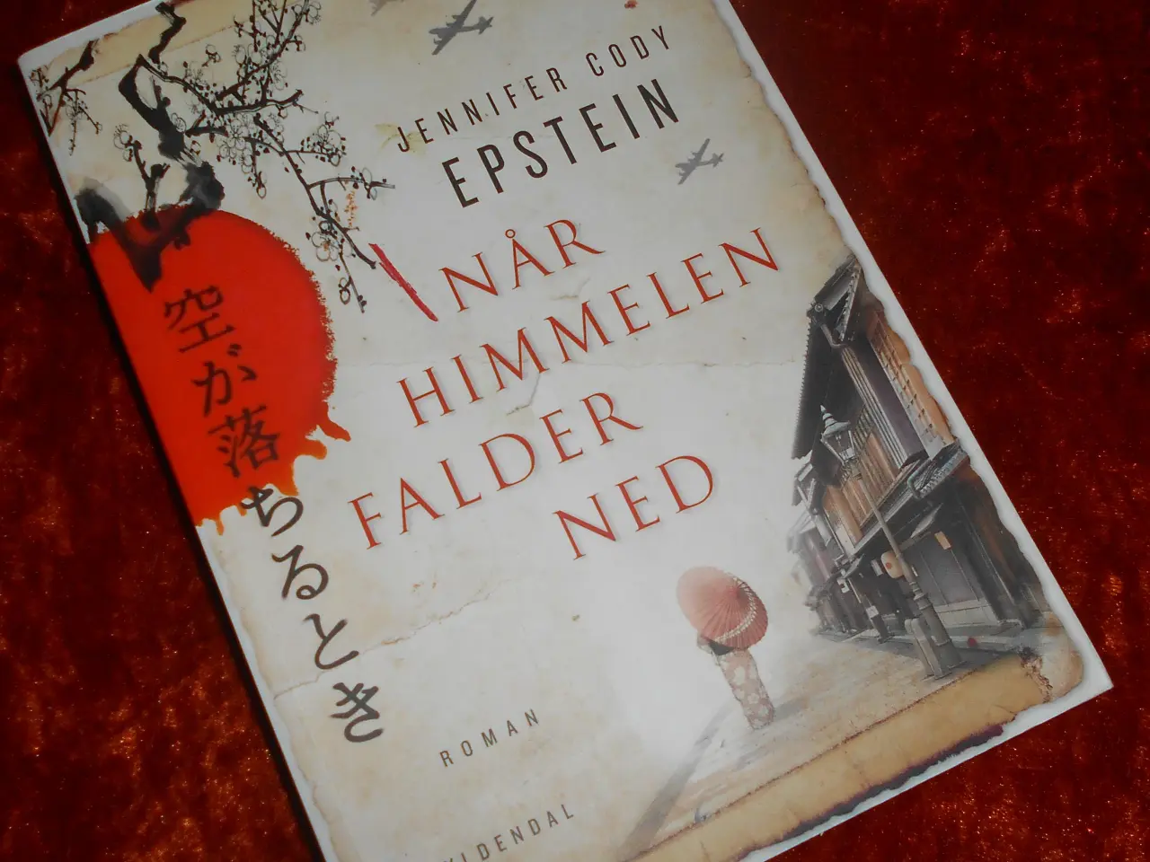 Billede 1 - Når himmelen falder ned, Jennifer Cody Epstein