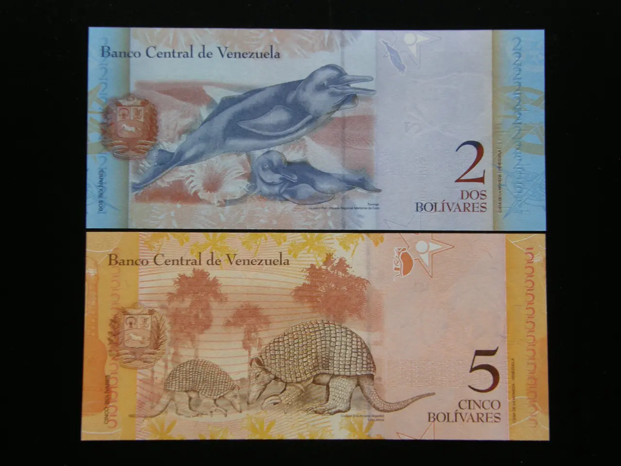 Billede 3 - Venezuela   6 Stk.   Unc.