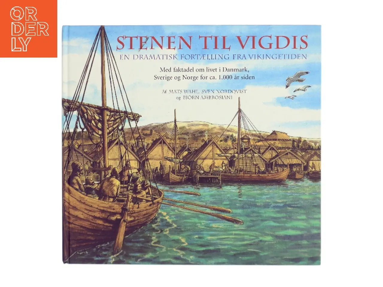 Billede 1 - Stenen til Vigdis (Bog)