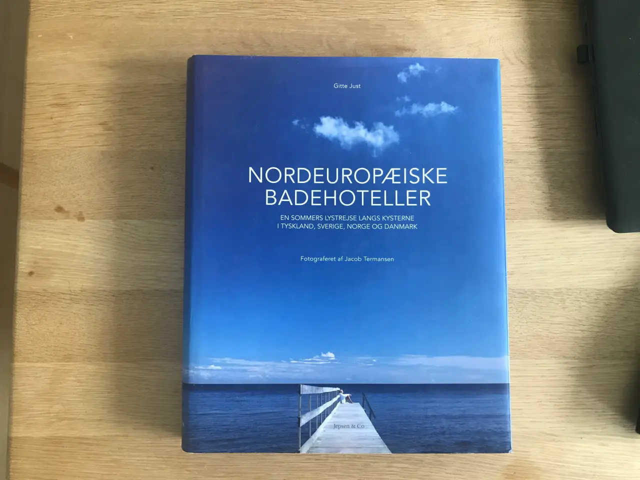 Billede 1 - Nordeuropæiske Badehoteller af Gitte Just
