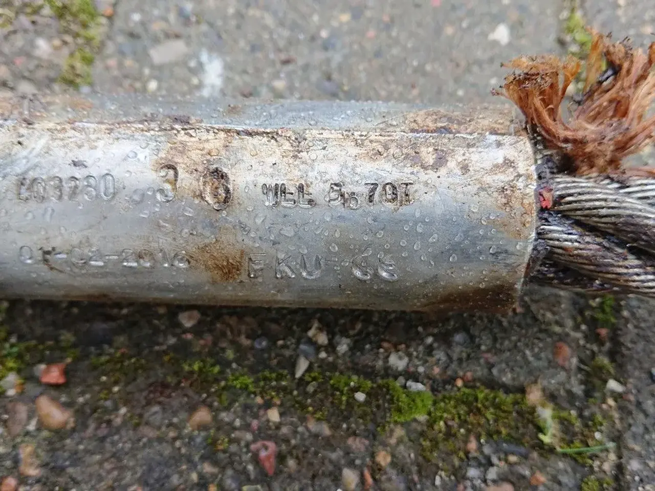 Billede 6 - Stålwire/stropper