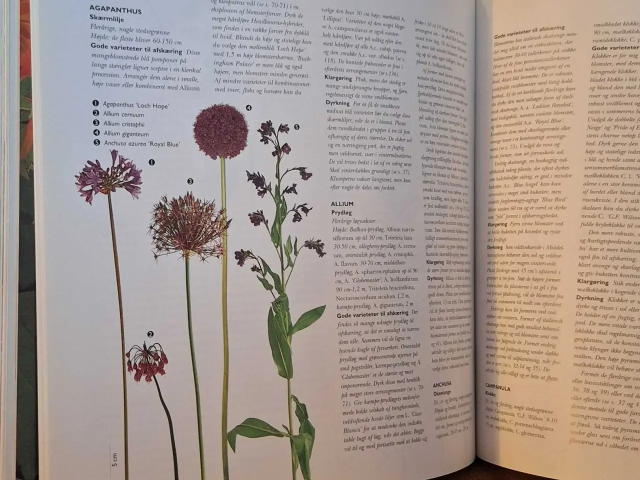Billede 7 - Blomsterbog 