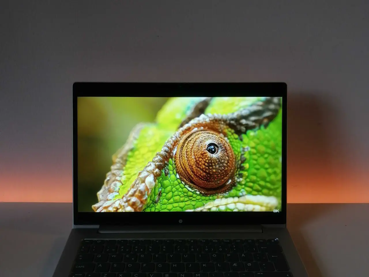 Billede 5 - Hp Probook 445 G11 
