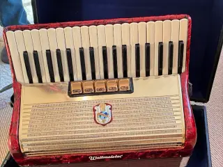 Harmonika Weltmeister Elganwille 2