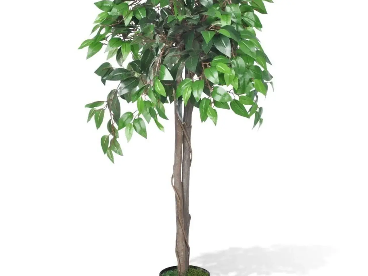 Billede 1 - Kunstigt ficustræ med potte - 110 cm