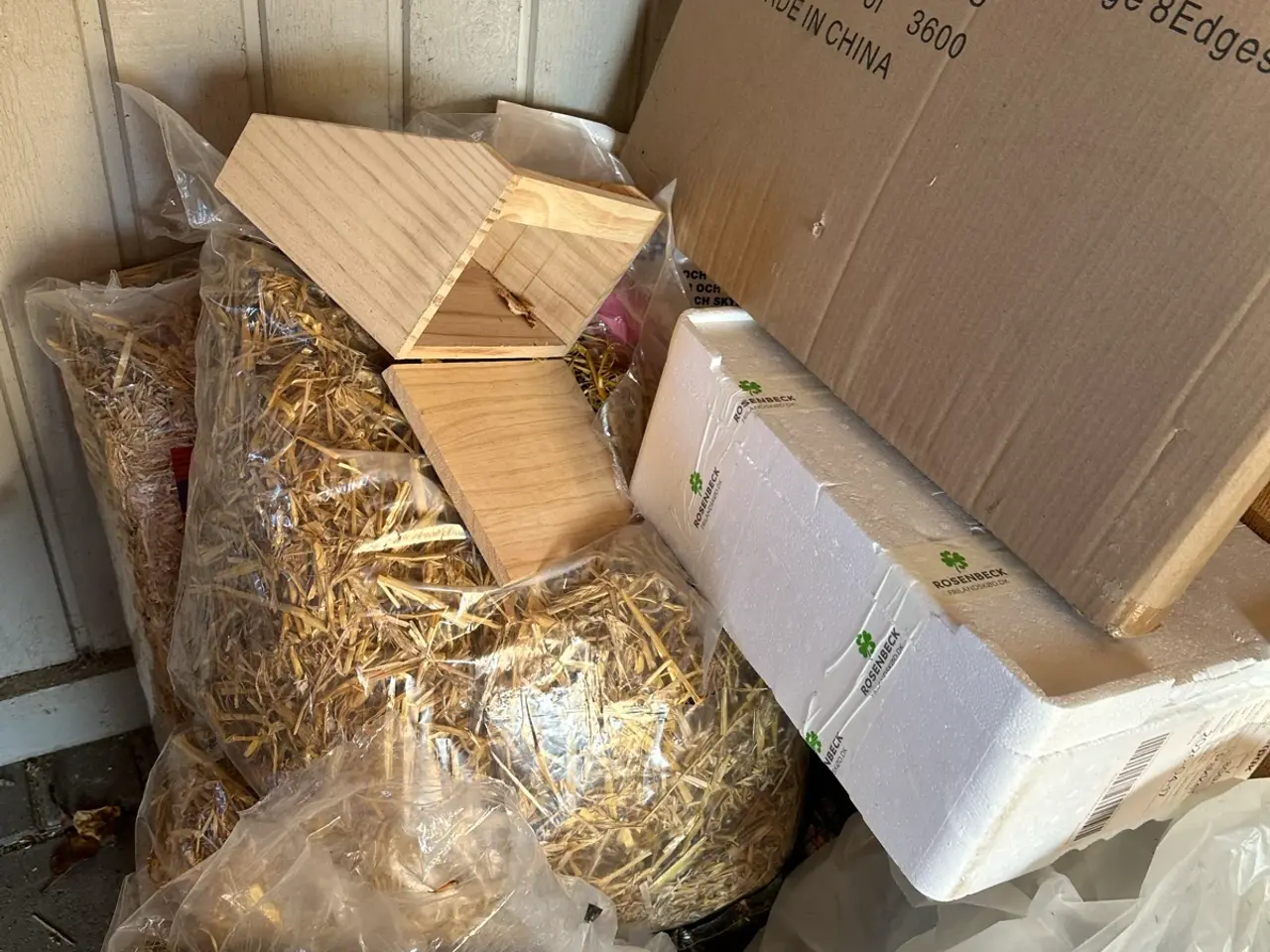 Billede 12 - Kanin unger til salg 🐰💕