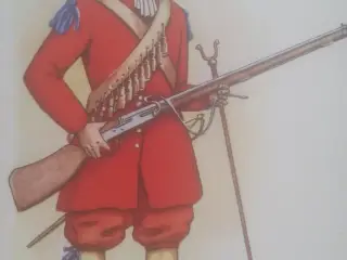 8 Postkort Tegnet af Vegenfeldt