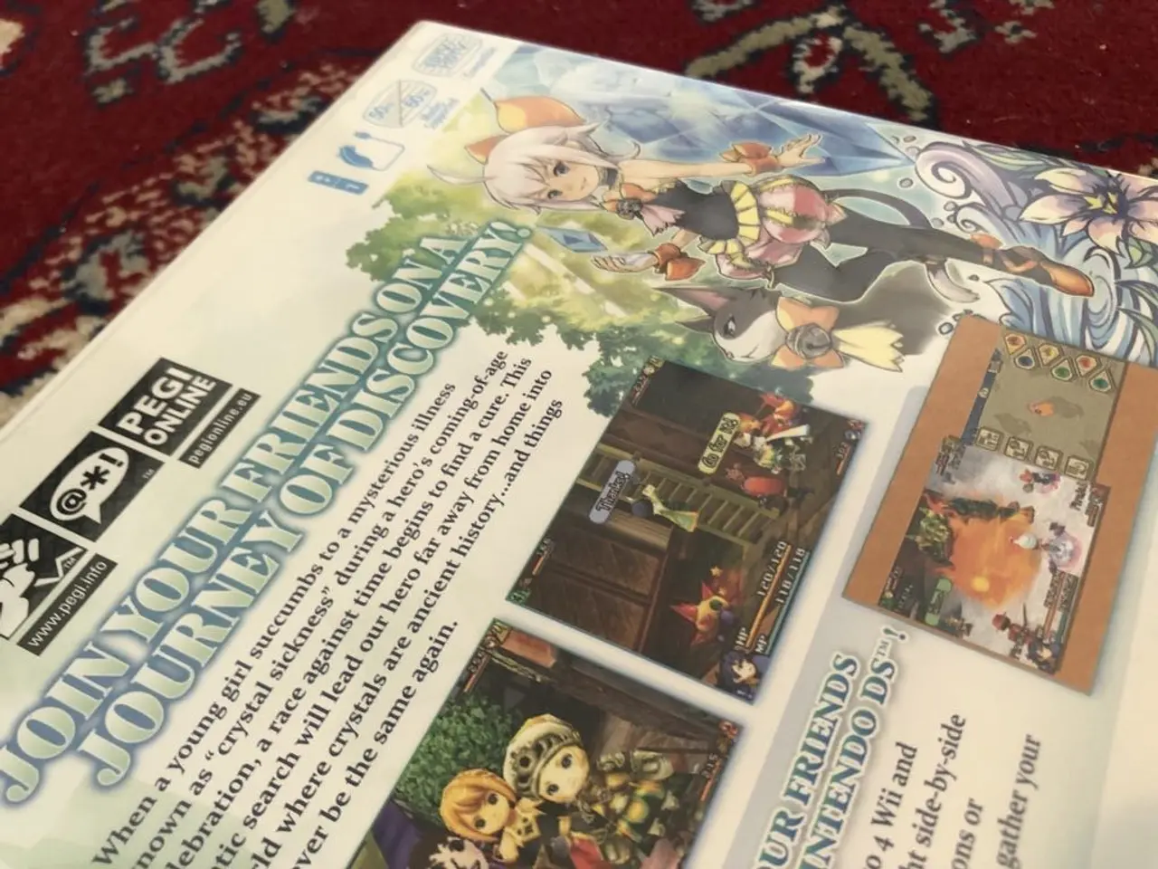 Billede 3 - Final Fantasy Crystal Chronicles: Echoes of Time
