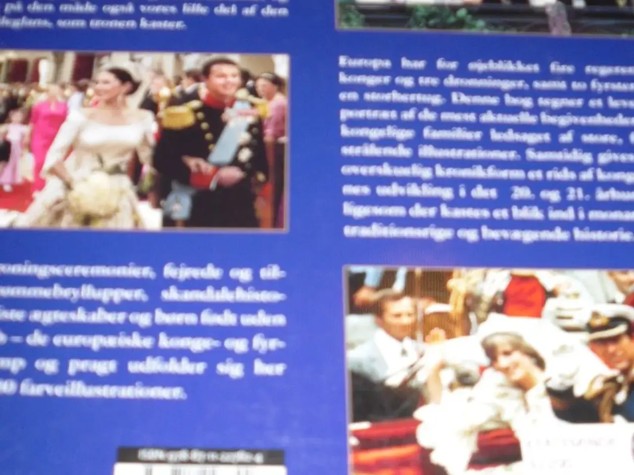 Billede 8 - KONGE- og Fystehuse.