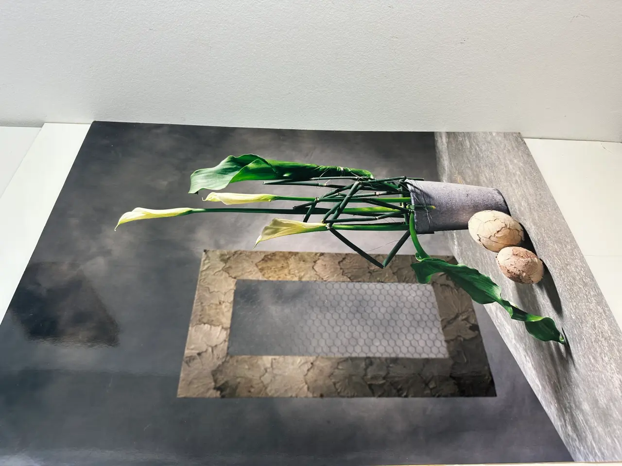 Billede 7 - Originalt foto-kunsttryk på plade (retro)