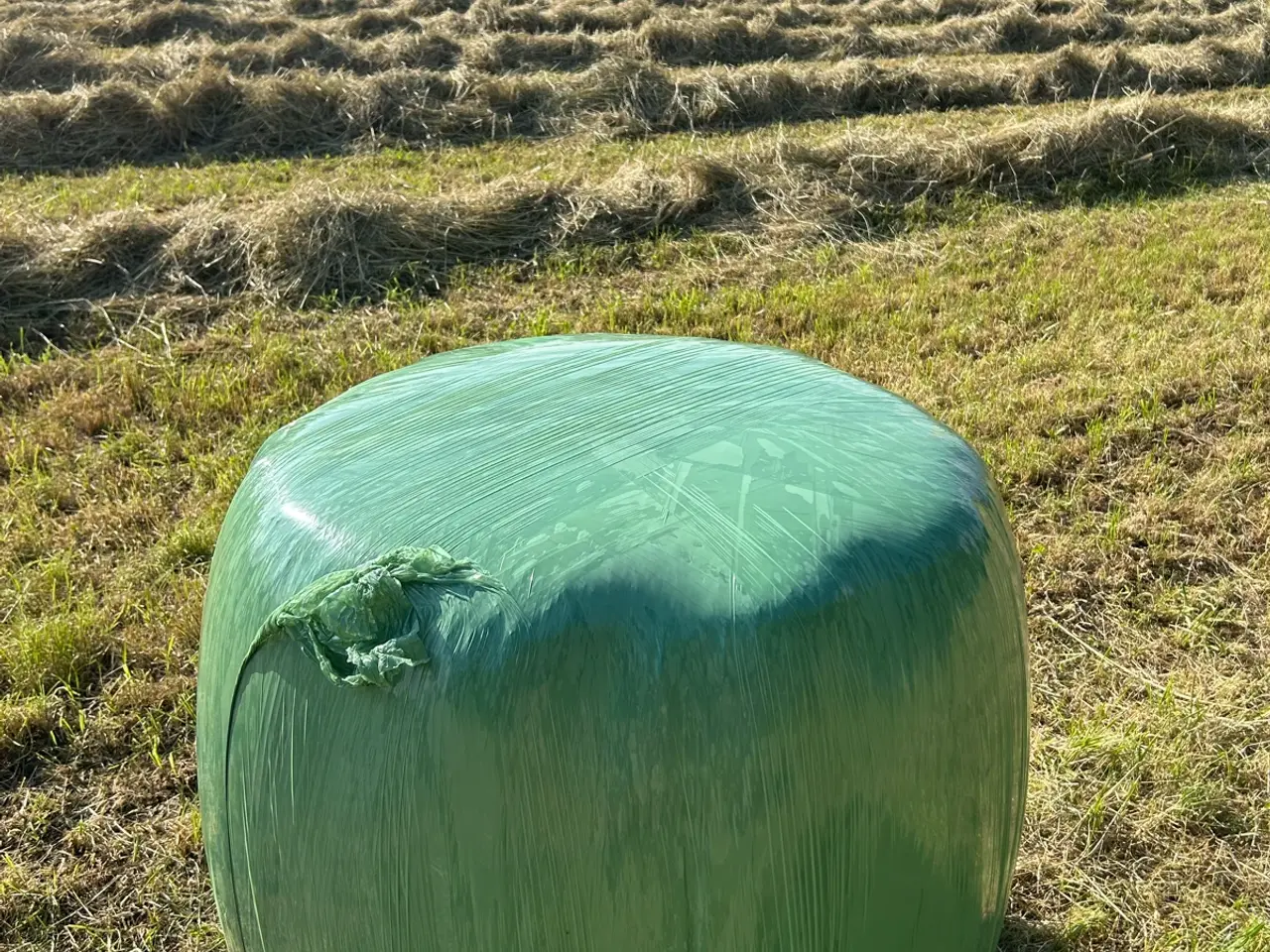 Billede 2 - HØ WRAP