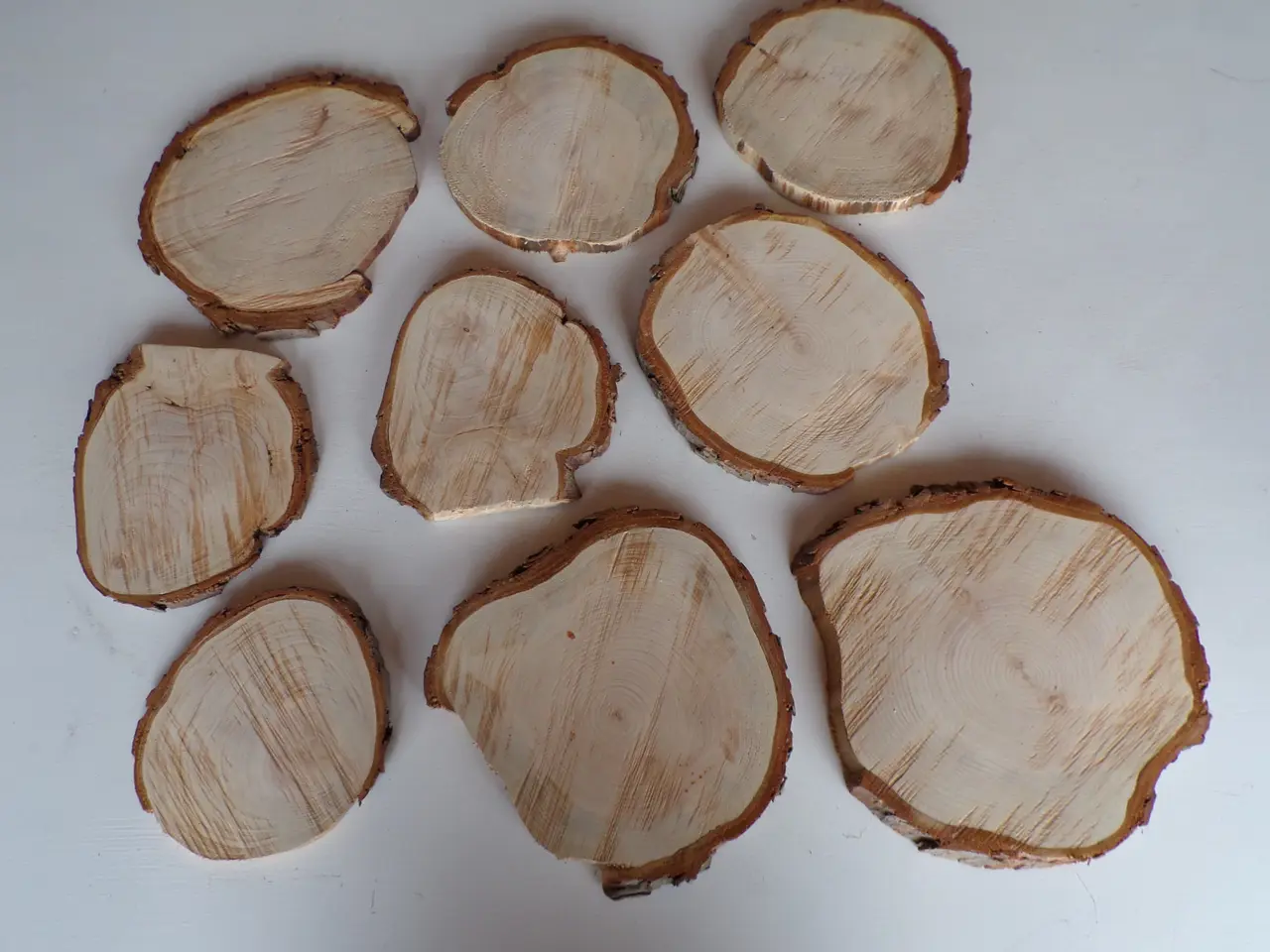 Billede 1 - 9 Thuja Træskiver - 16-22,5 cm