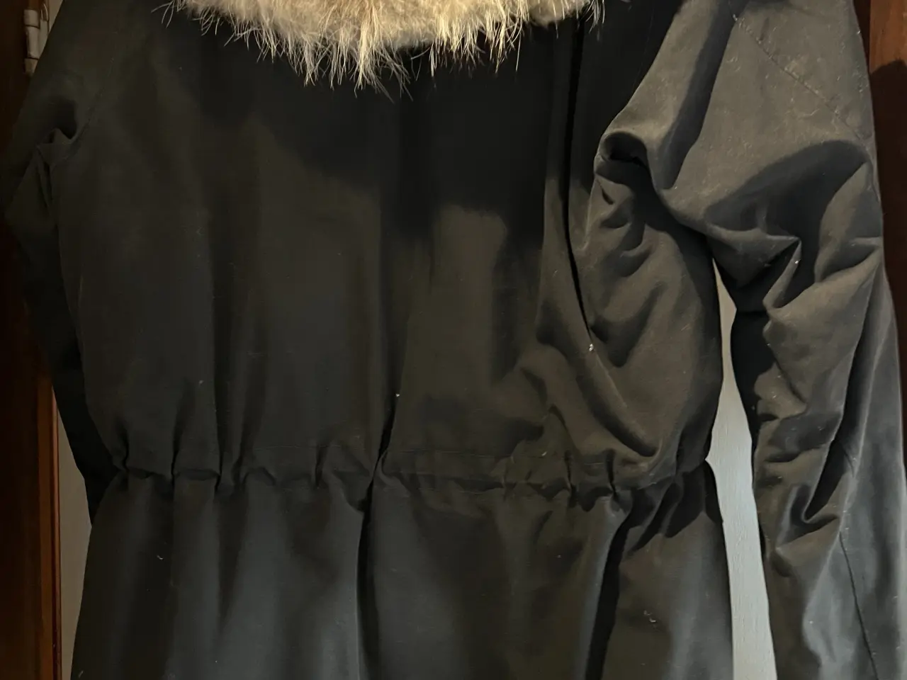 Billede 2 - Canada goose 