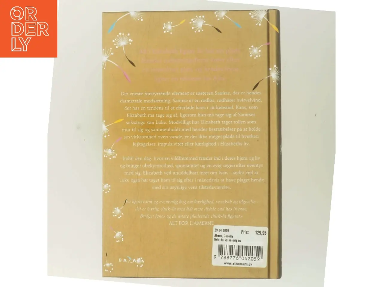 Billede 3 - Hvis du ku' se mig nu af Cecelia Ahern (Bog)
