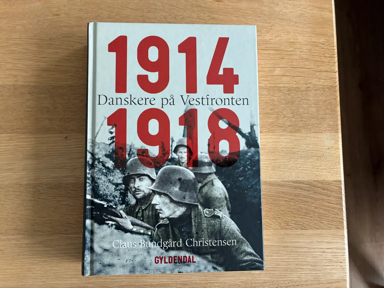 Billede 1 - Danskere på Vestfronten 1914 - 1918