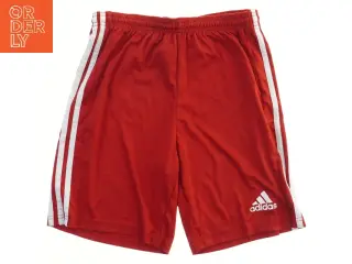 Røde sportsshorts med striber fra Adidas (str. 170)