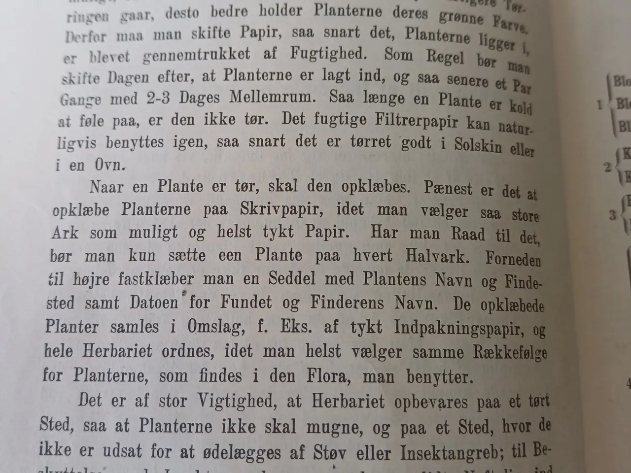 Billede 6 - Lille Flora af H. Rasmussen & K. Simonsen