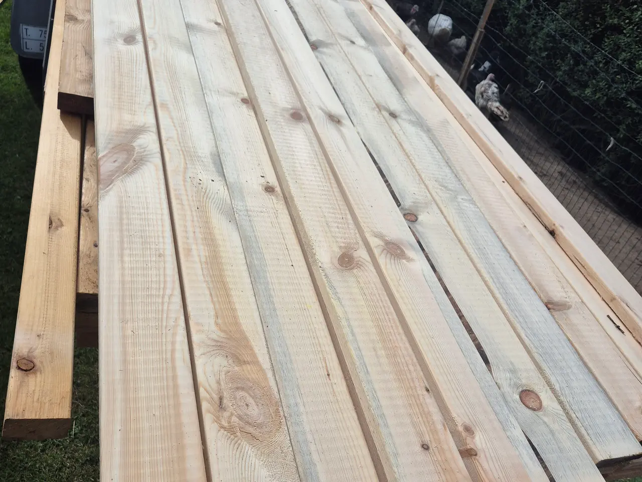 Billede 2 - Fyrretræsbrædder 21x95x5100 mm – nye