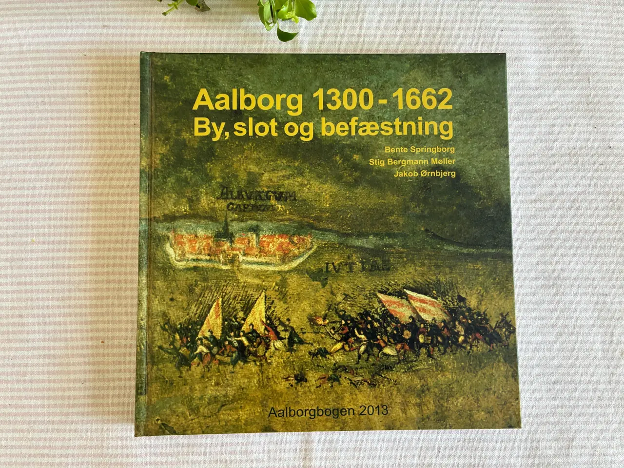 Billede 1 - Aalborgbogen 2013 - Aalborg 1300-1662 By, slot og