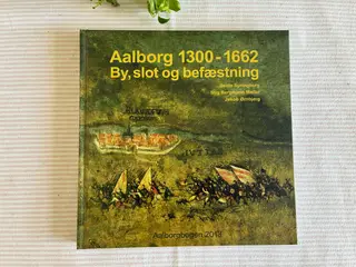 Aalborgbogen 2013 - Aalborg 1300-1662 By, slot og