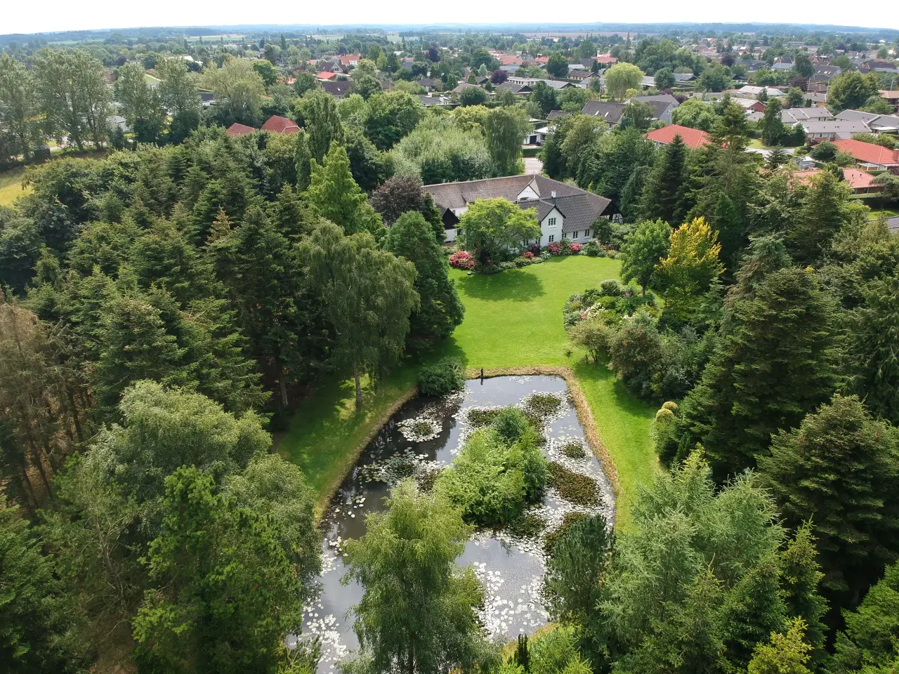 Billede 2 - Åkander