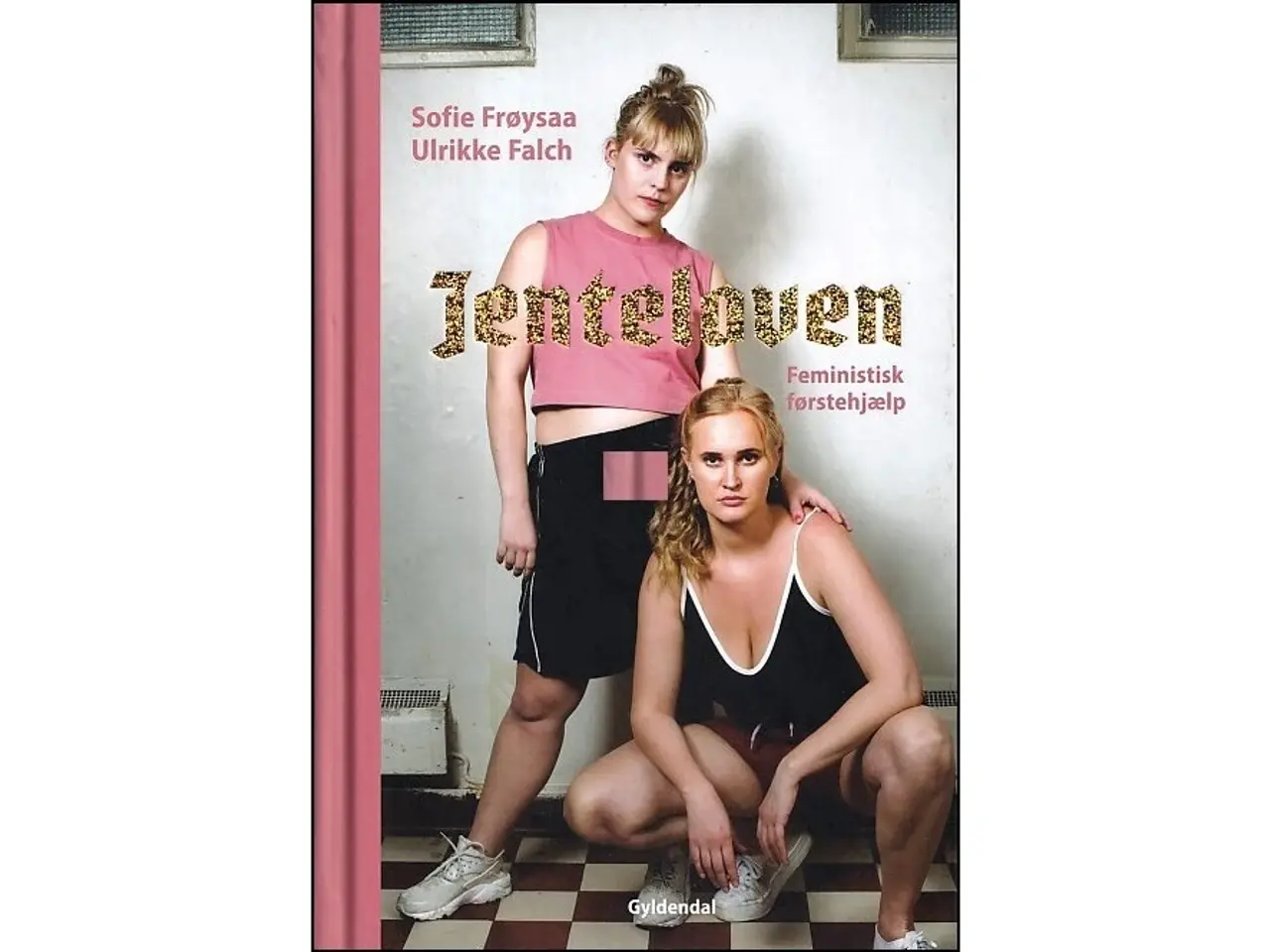 Billede 1 - Jenteloven - Feministisk førstehjælp