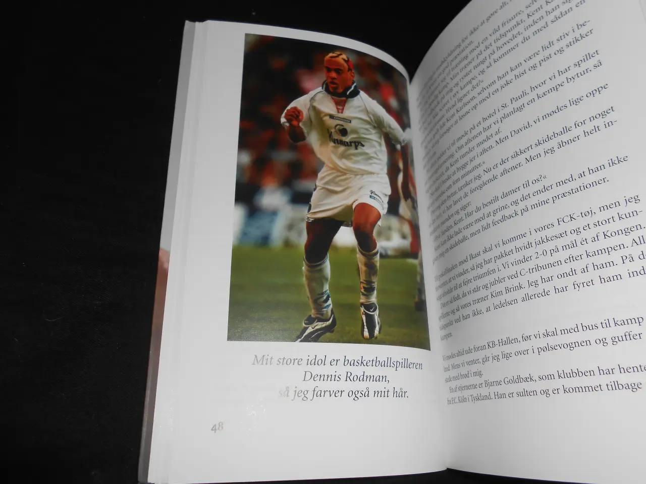 Billede 5 - Sorte svin David Nielsen