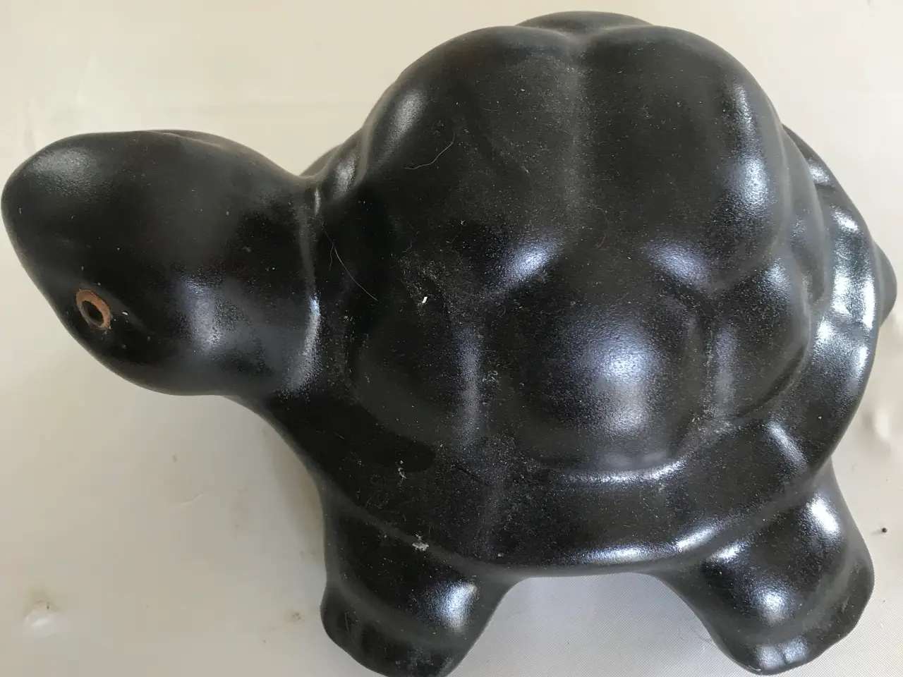 Billede 4 - Frø og skildpadde
