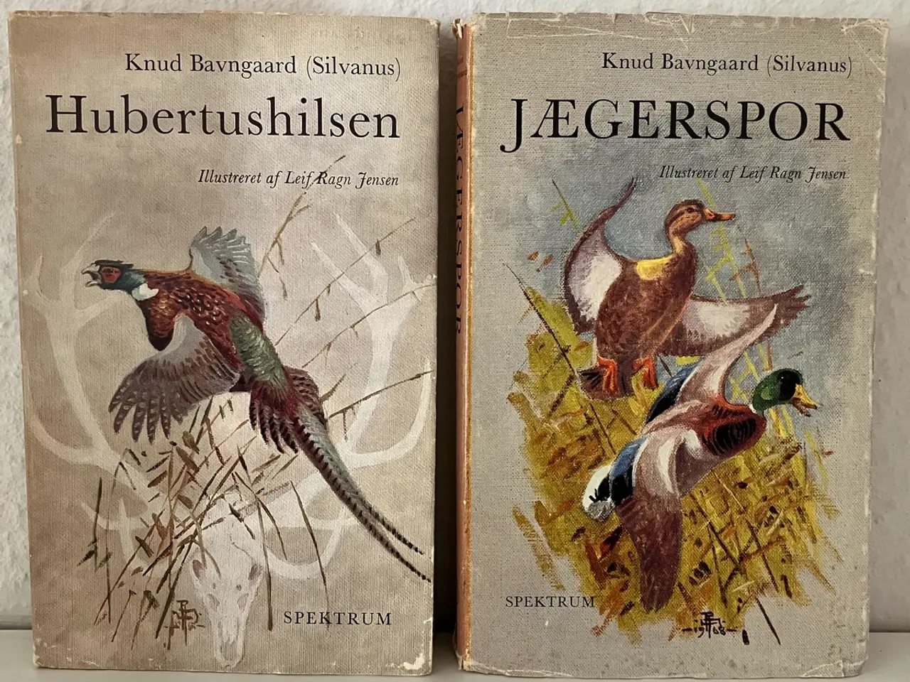 Billede 1 - Silvanus jagtbøger