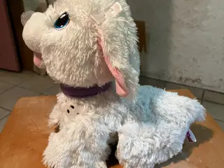 Bamse hund