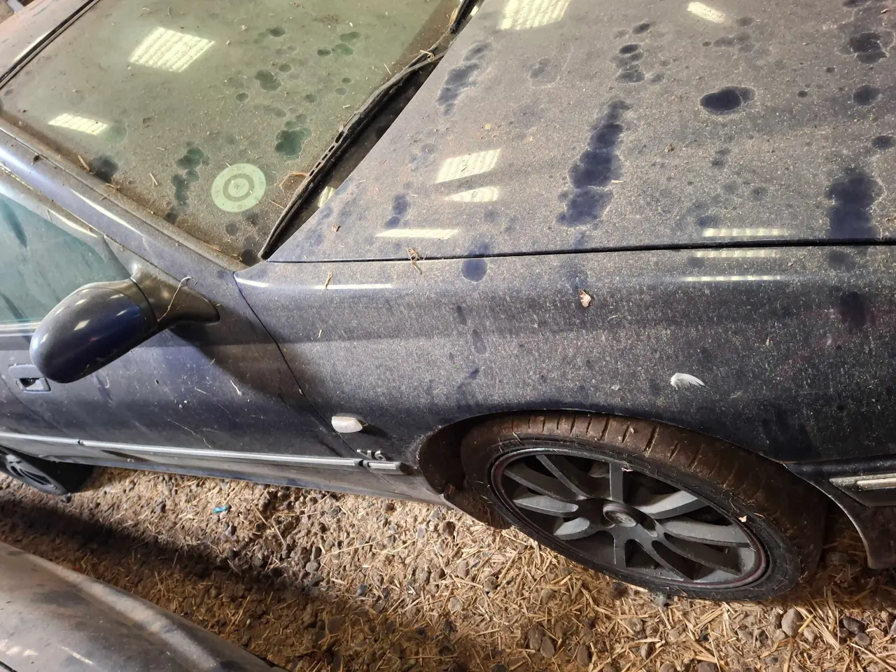 Billede 12 - Peugeot 406 v6