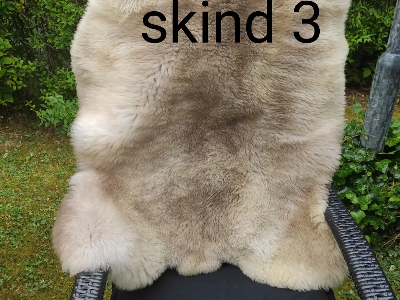 Billede 6 - Flotte lyse lammeskind - har 3 stk.