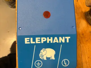 Elefant el hegn