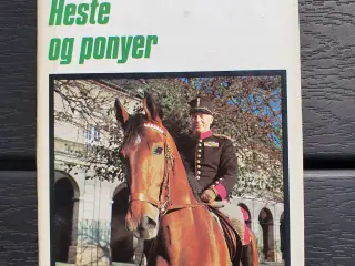 Heste og Ponyer