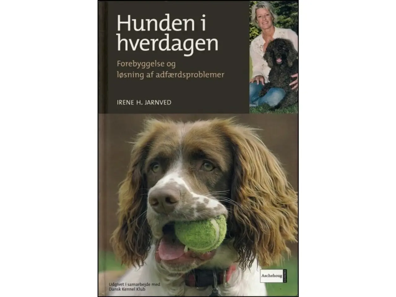 Billede 1 - Hunden i Hverdagen