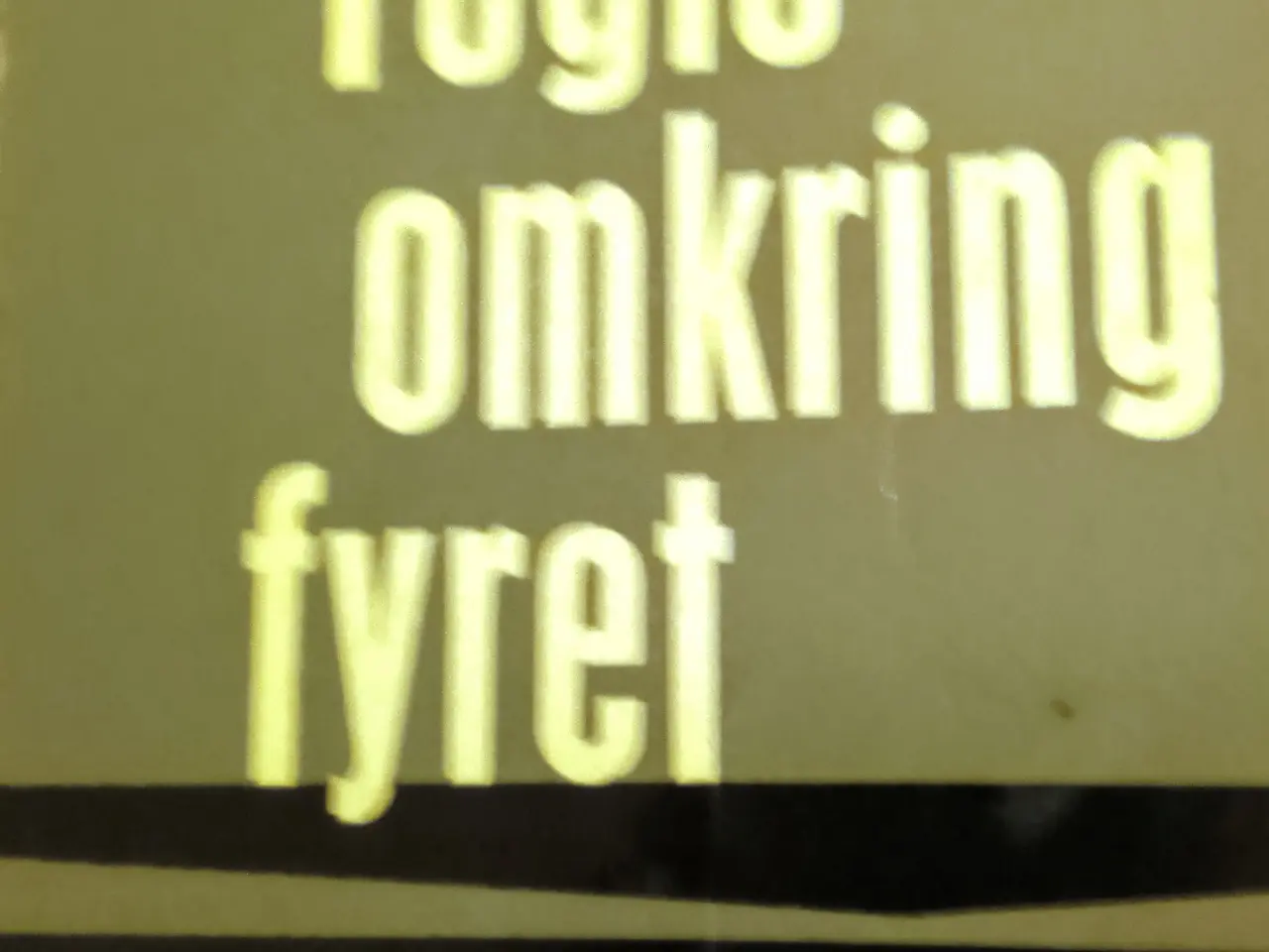 Billede 1 - Jacob Paludan: Fugle omkring fyret.
