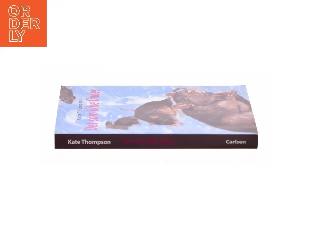 Billede 3 - Det som ikke findes af Kate Thompson (f. 1956) (Bog)