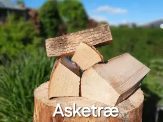 TØRT BRÆNDE PÅ LAGER, LØVTRÆ ELLER NÅLETRÆ